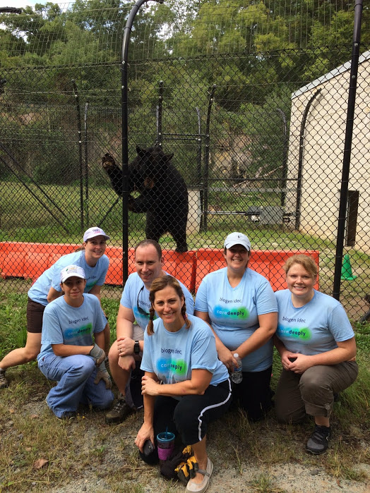 An amazing group from Biogen Idec helped us out with bear yard work