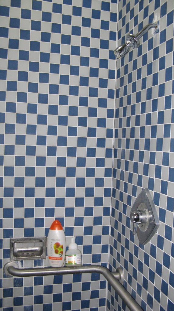 Our Shower Stall