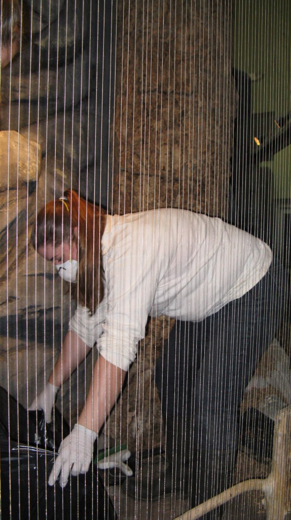 Carrie cleaning out the aviary.