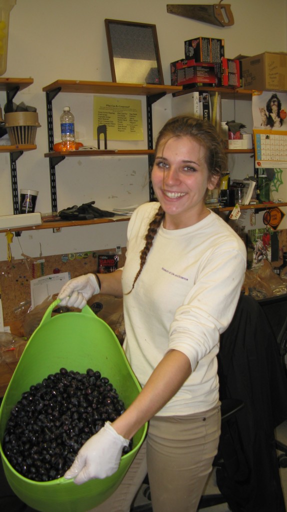 Jana sorting grapes! Remember last year's "grape bonding"?