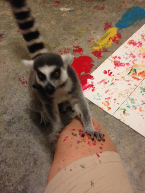 Henri decided I was more fun to paint on than the canvas!