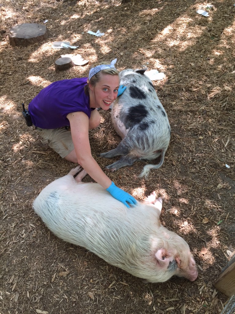 Katie making life pretty difficult for the pigs.