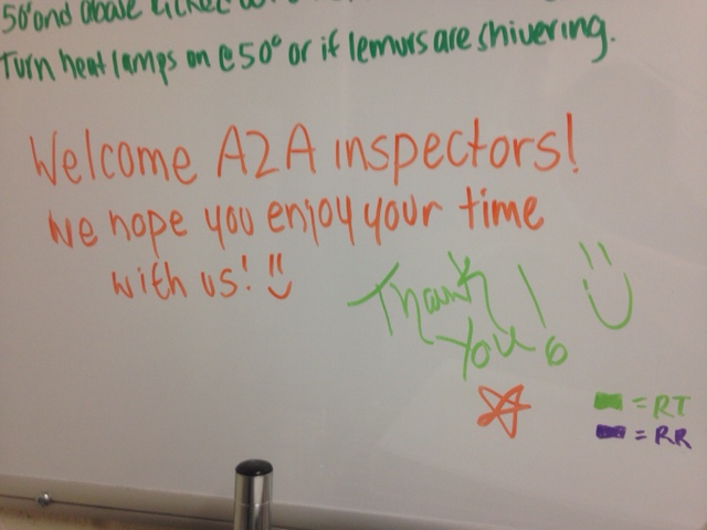 Dry erase board in the lemur house with a message for the inspectors! 
