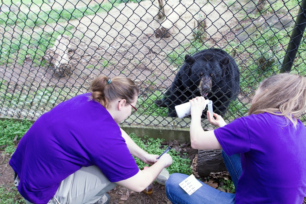Janine and Sarah pull up and measure the medication for the black bears and mix it with syrup durham, nc