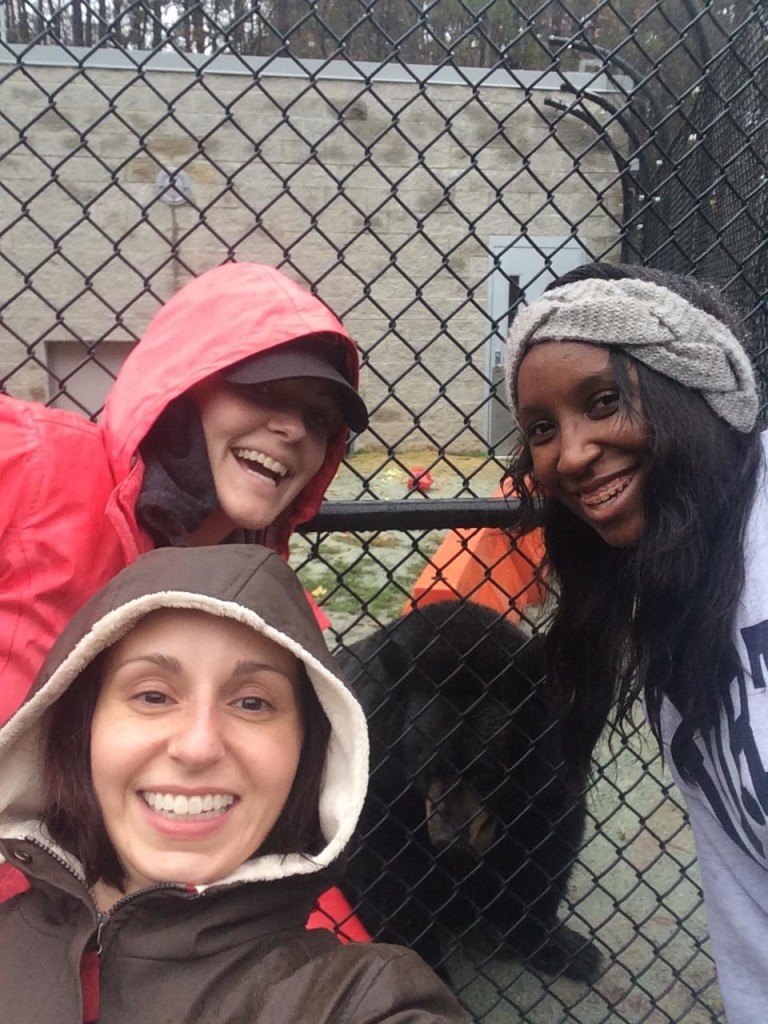 Lyndsay, Madelyne, and Tiera take  a selfie with Virginia after scooping bear poop in the rain