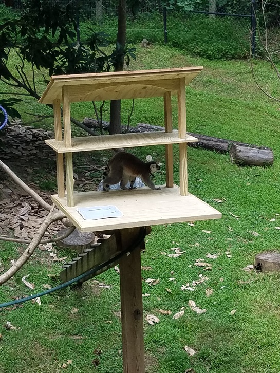 New Lemur Shelters | Animal Keeper Blog